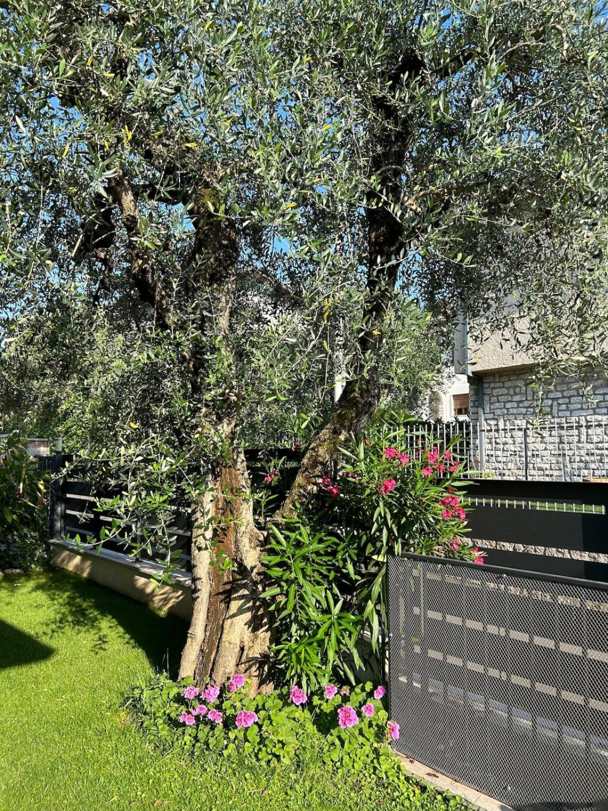 Rossini Appartement